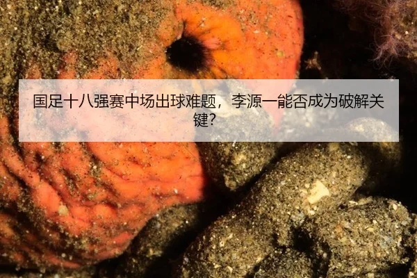 国足十八强赛中场出球难题,李源一能否成为破解关键?